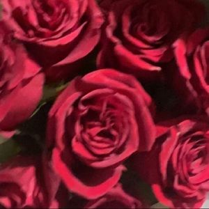 Meet your Posher, Designer